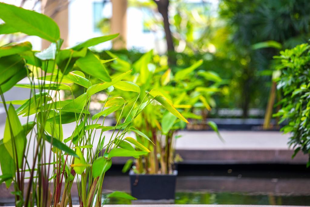 The Capital Resort @ Sukhumvit 50 曼谷 外观 照片 Plants in a water garden